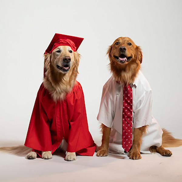 Ivy in a graduation gown and Newton wearing a neck tie