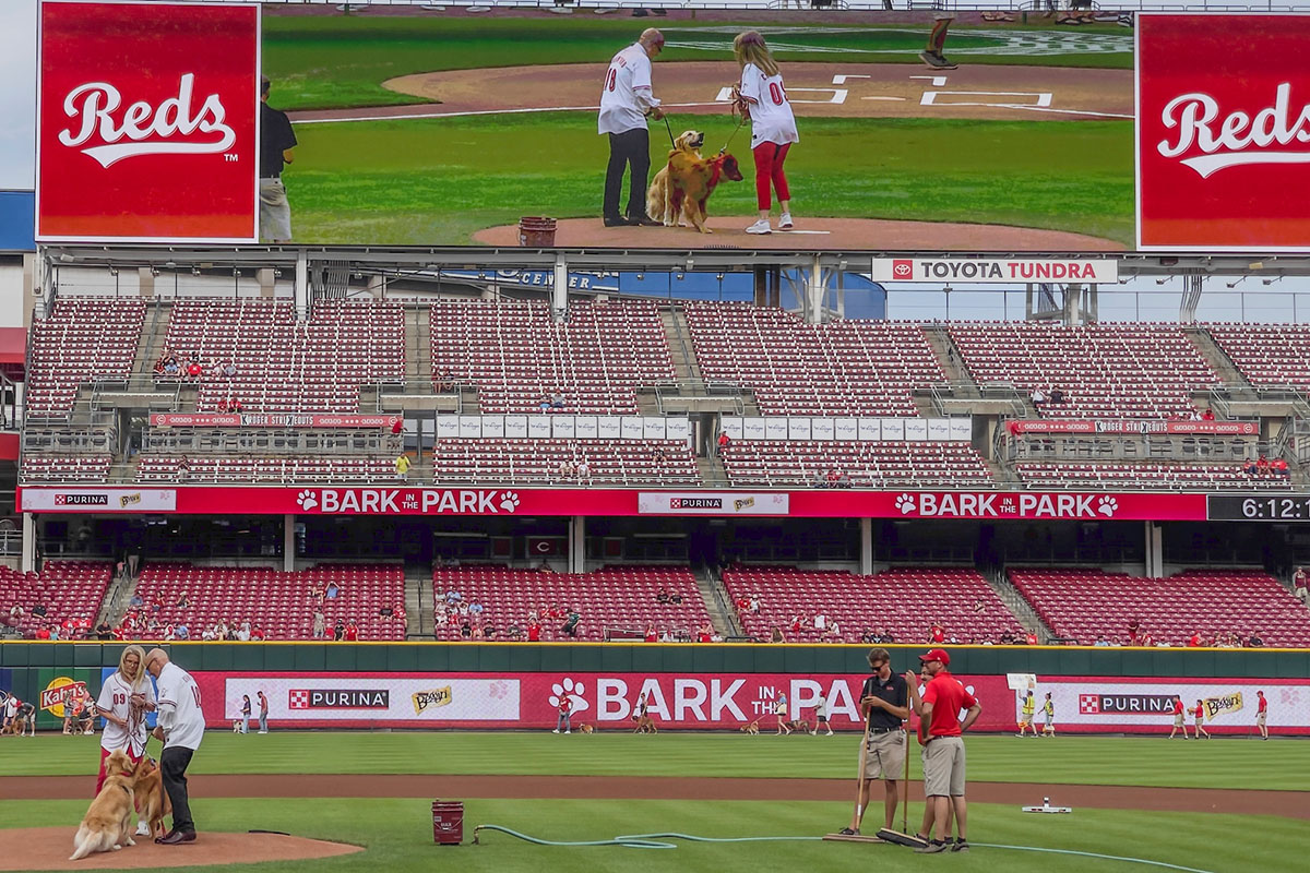 Miami University President Greg Crawford and University Ambassador Dr. Renate Crawford at Great American Ball Park's Bark in the Park with their dogs, Newton and Ivy