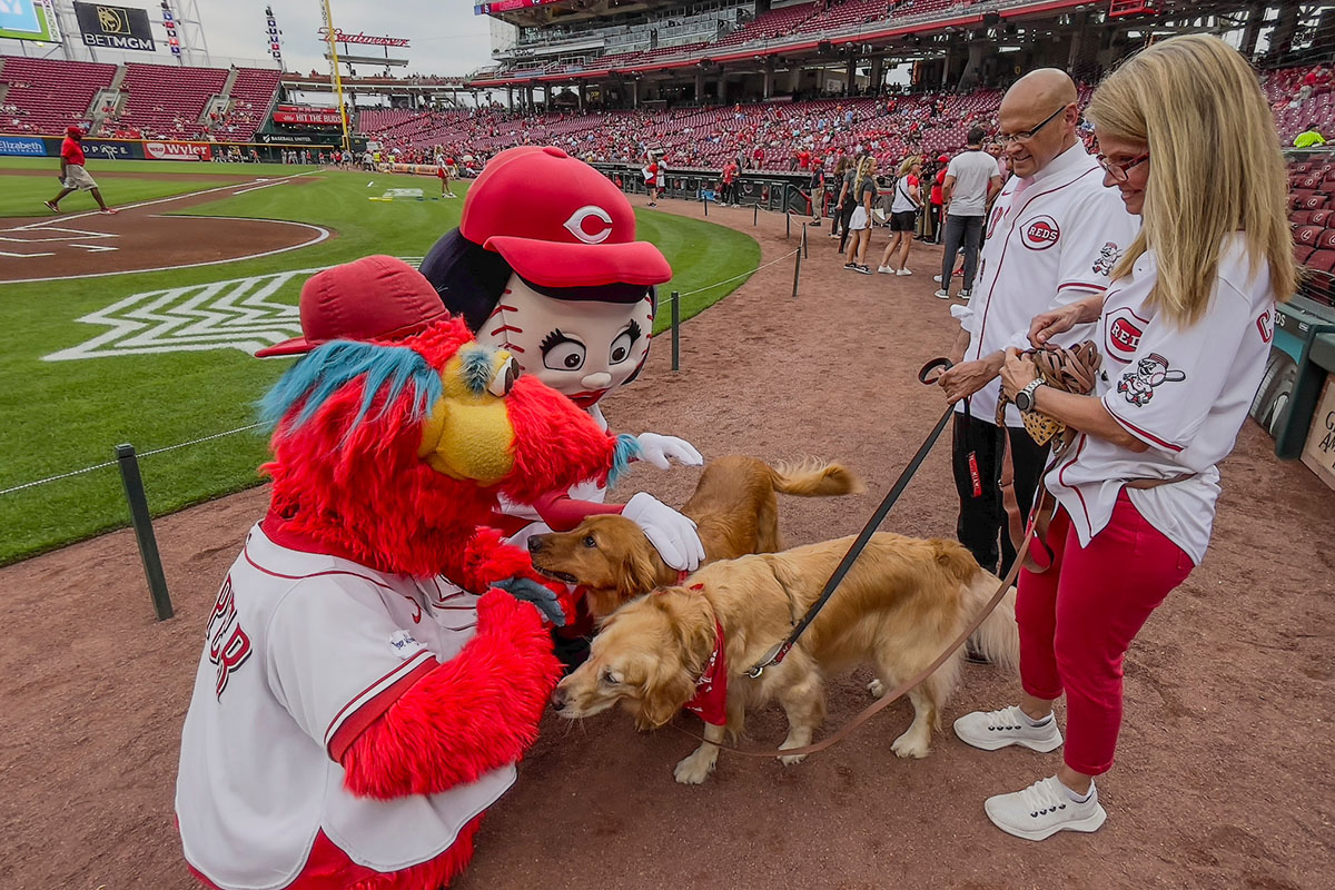 Presidential pups Ivy and Newton are greeted by Cincinnati Reds mascots Gapper and Rosie Red as Miami University President Greg Crawford and University Ambassador Dr. Renate Crawford look on.