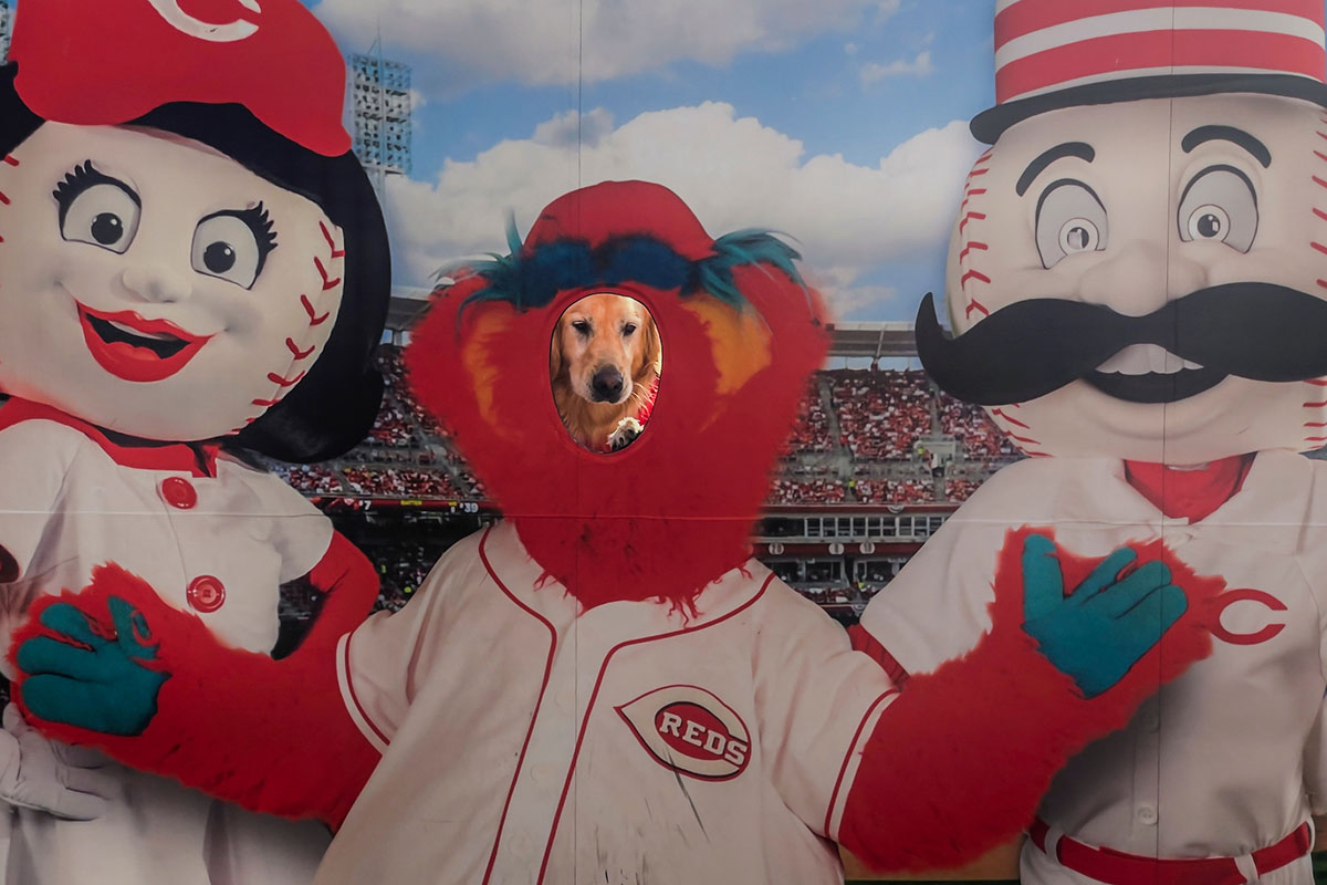 Presidential pup Newton poses for a photo at Great American Ball Park.