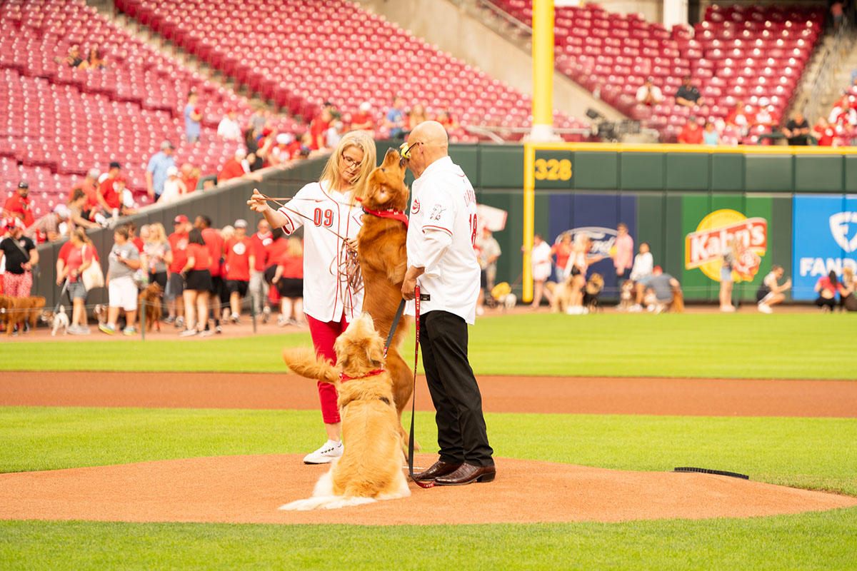 Miami University President Greg Crawford and University Ambassador Dr. Renate Crawford at Great American Ball Park's Bark in the Park with their dogs, Newton and Ivy