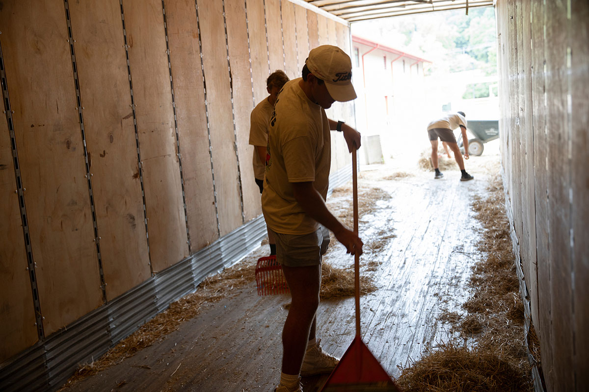 Miamians participated in the second RedHawk Day of Service on Aug. 31 at various sites around the Oxford and Miami University communities, including the Equestrian Center.