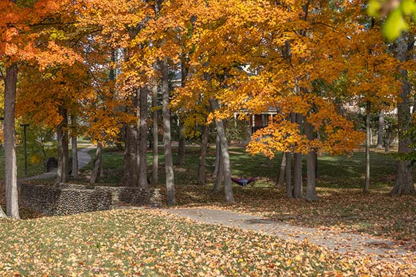 Autumn leaves and footbridge in front of Patterson Place