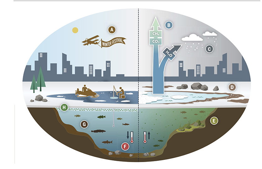 Figure 2 from the Science review caption explains it