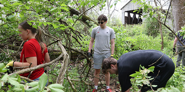 Miami University student-athletes help clear honeysuckle from the hiking trails at Mill Race Preserve Area.