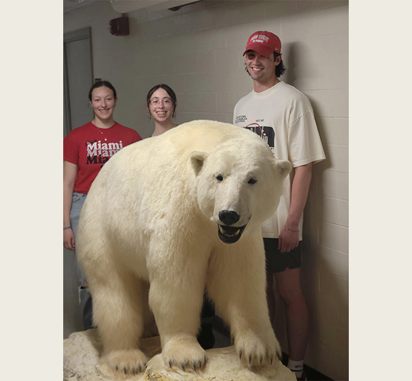 Miami students Santina Celli, Victoria Gerencser, and Frank Munafo stand behind the polar bear specimen that was donated to the Hefner museum (photo courtesy of Steve Sullivan).