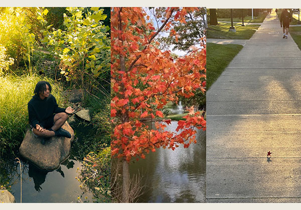 a student sits in lotus position in a rock near the stormwater gardens and autumn leaves near the dogwood park pond